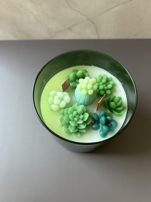Succulent Garden - Image 7