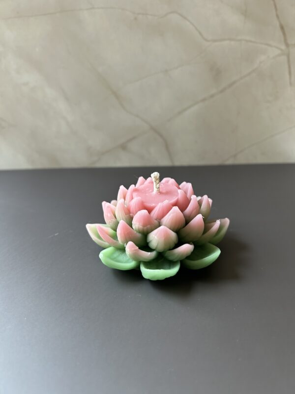 Lotus Flower