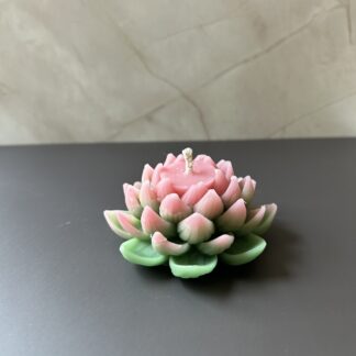 Lotus Flower