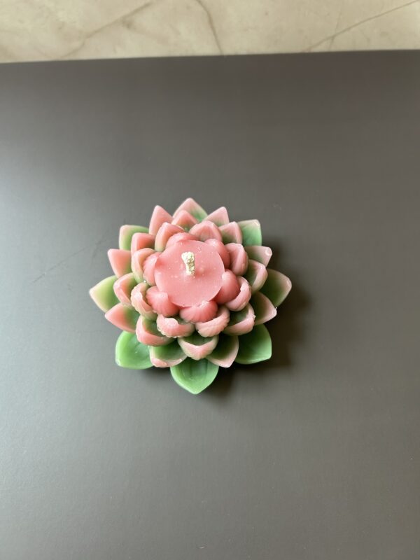 Lotus Flower - Image 2