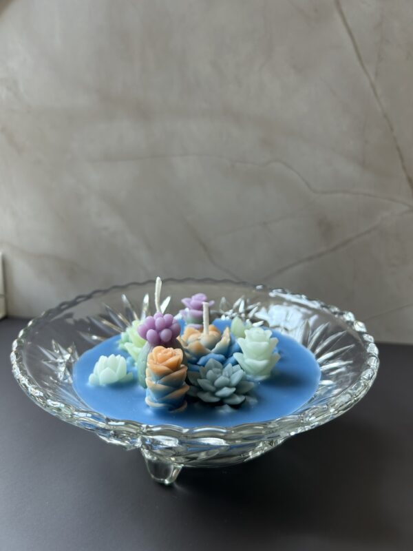 Succulent Garden - Image 2