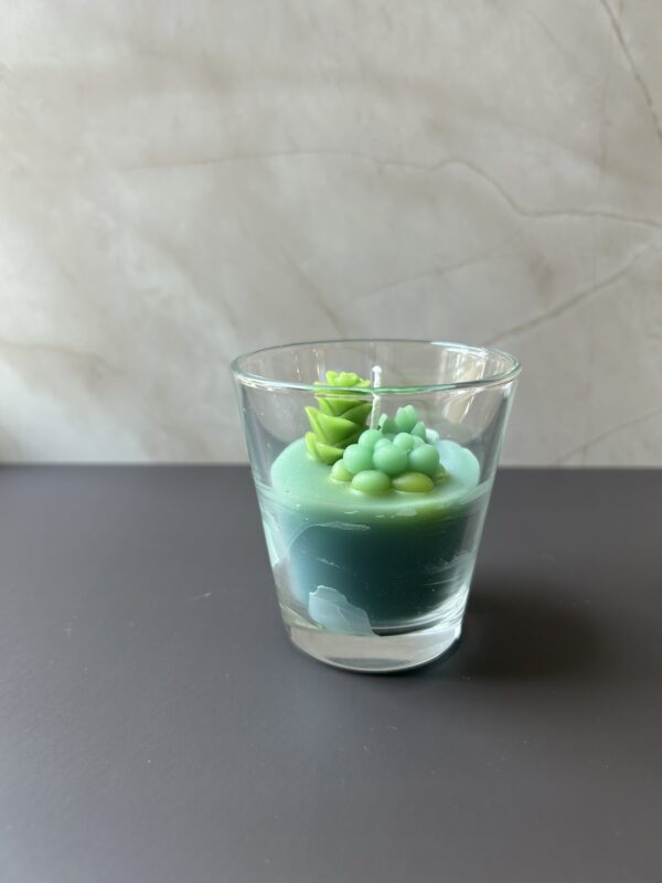 Succulent Garden - Image 5