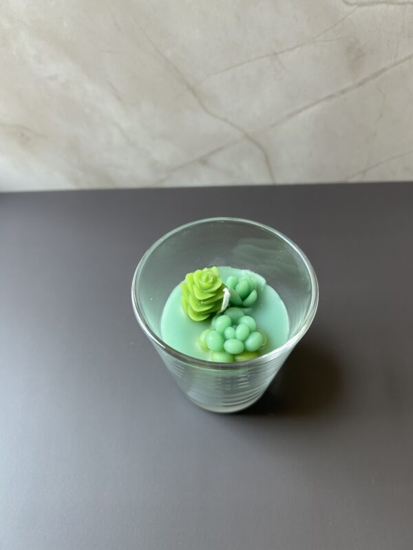 Succulent Garden - Image 4