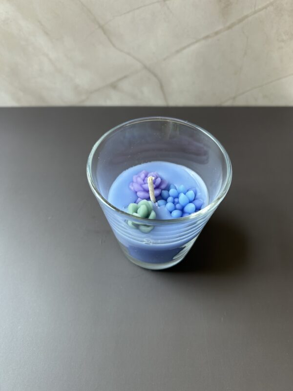 Succulent Garden - Image 3